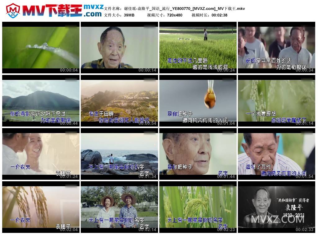 谢佳瑶-袁隆平_国语_流行_YE800770